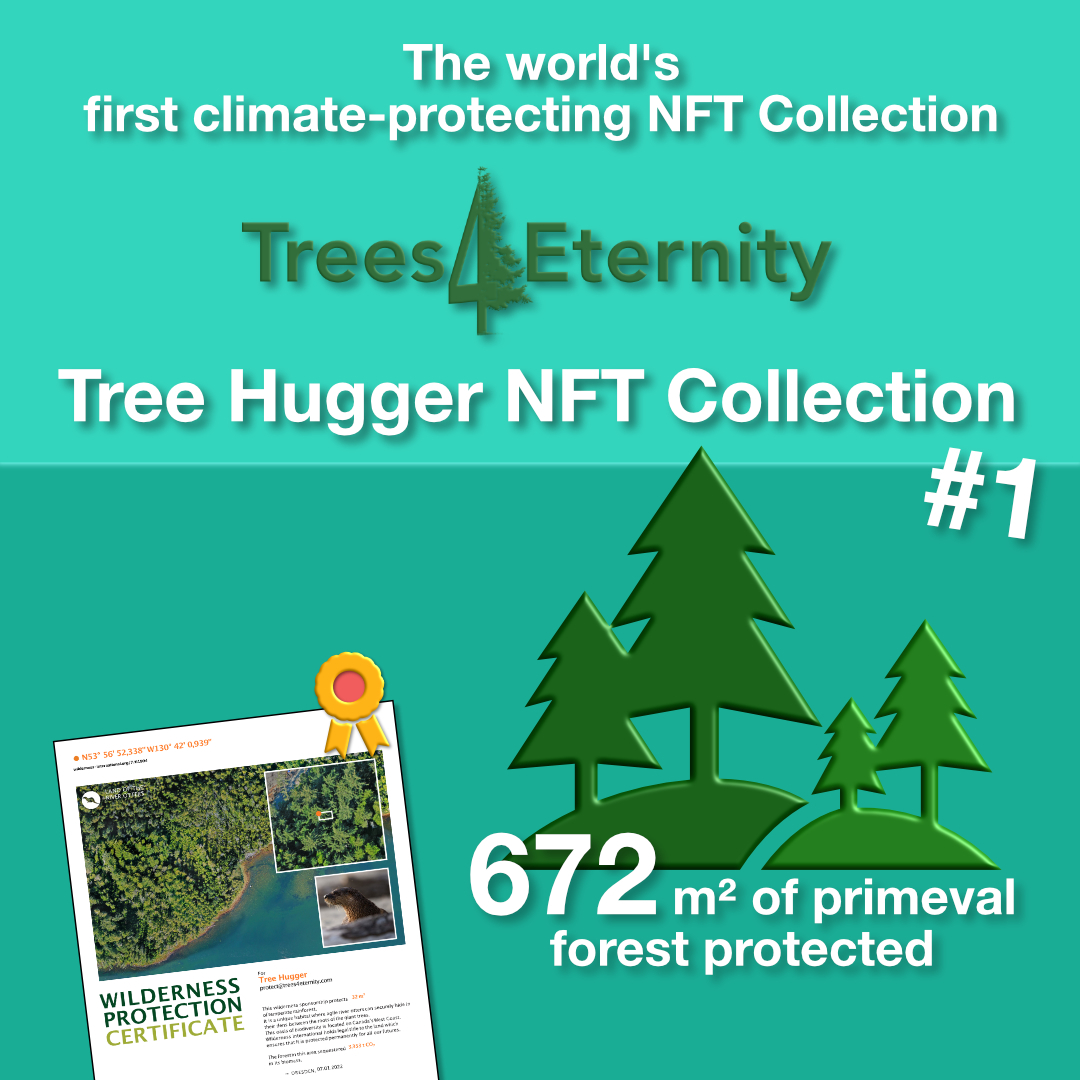Infografik des Trees4Eternity Projekts